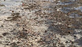 Pescadores e marisqueiras já sentem efeitos do óleo