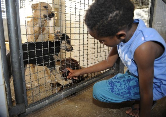 Resolução define e caracteriza o que é crueldade, abuso e maus-tratos contra animais