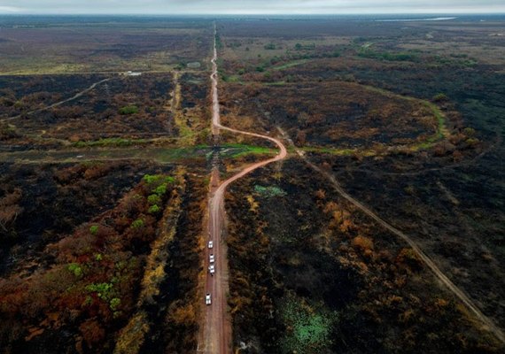 Focos de calor em agosto já são 105% maiores do que todo o mês do ano passado