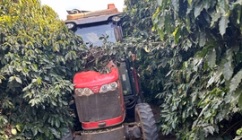Homem morre ao ter o corpo preso em máquina de fazenda de café em MG