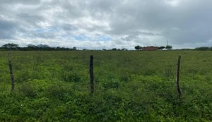 VT de Santana do Ipanema leiloará fazenda de 780 tarefas nesta sexta (18)