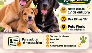 Abrigo São Cão promove feira de adoção neste sábado