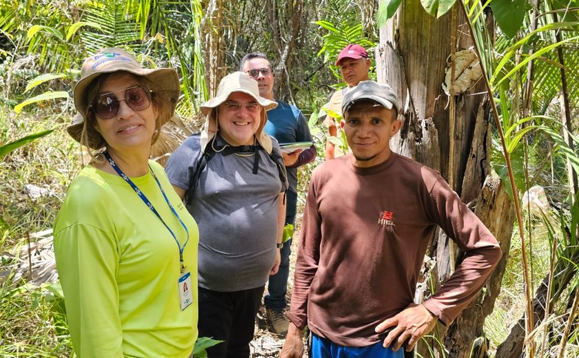 Embrapa mapeia serviços ambientais de assentamento em área de babaçu no Maranhão