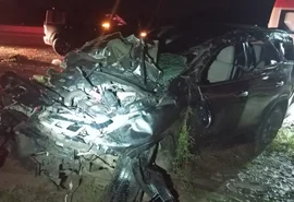 Motorista fica ferido após capotamento de caminhonete na AL-220, em Campo Alegre