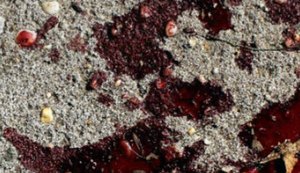 Agreste: menina de 9 anos é encontrada morta com ferimentos na cabeça