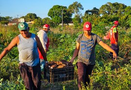 25ª Feira da Reforma Agrária reunirá mais de 150 camponeses em Maceió