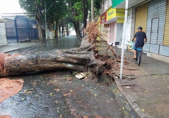 Defesa Civil de Maceió atende ocorrências durante chuvas registradas na capital