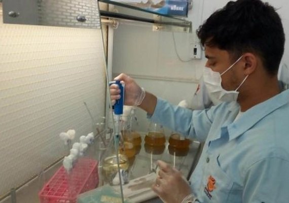 Polo Agroalimentar de Arapiraca beneficia a realização de pesquisas científicas em AL