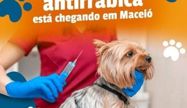 Confira horários e locais da vacinação antirrábica em Maceió