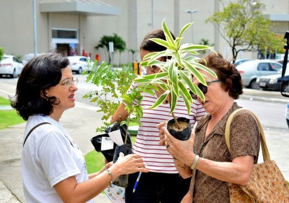 Semana Maceió Mais Sustentável doará mais de mil mudas