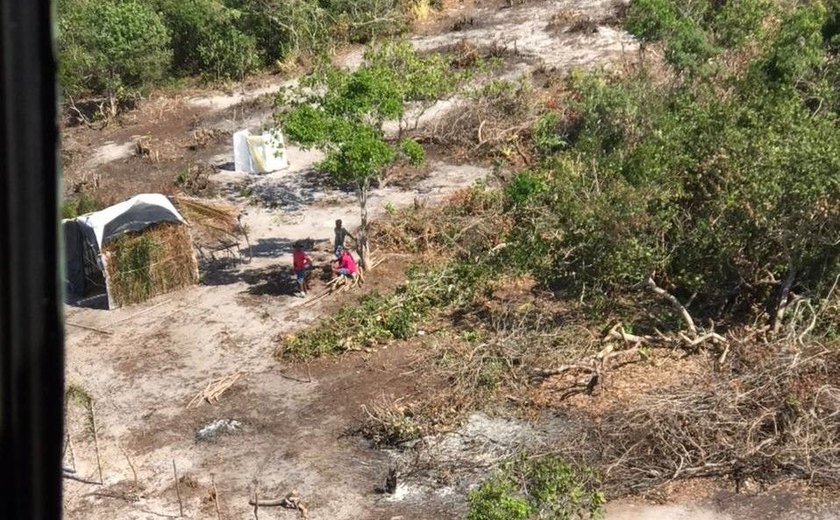 IMA lavra auto de R$ 750 mil por desmatamento de 100 hectares em Piaçabuçu