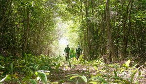 Associação Caatinga abre inscrições para curso gratuito de Restauração Ecológica da Caatinga