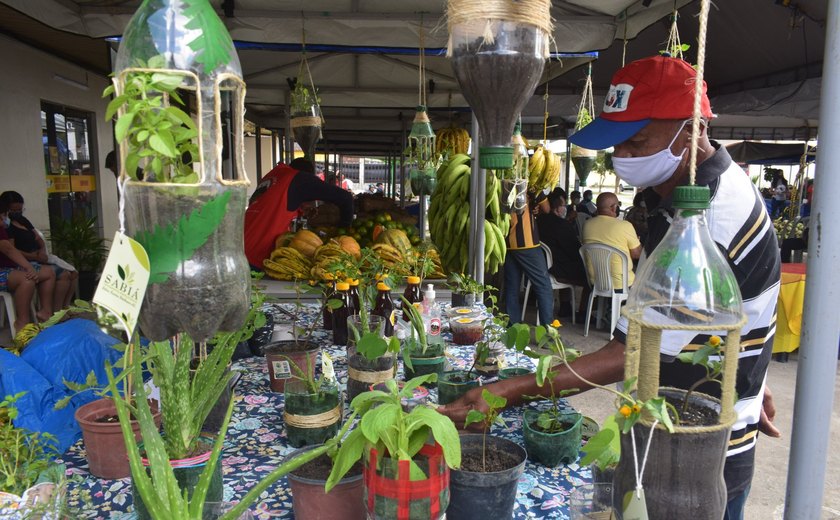 Feira Agroecológica Novo Jardim acontece pela primeira vez no bairro Jardim Petrópolis II