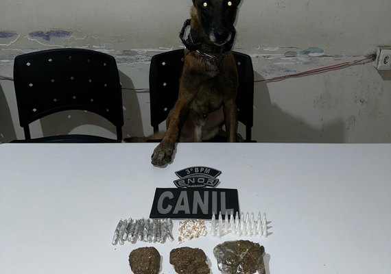 PM/AL apreende 33 armas e quase 14 quilos de drogas em uma semana