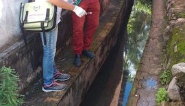 Municípios da Região Norte também combatem outras doenças