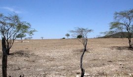 Alagoas recebe seminários para atualização do Plano Estadual de Combate à Desertificação