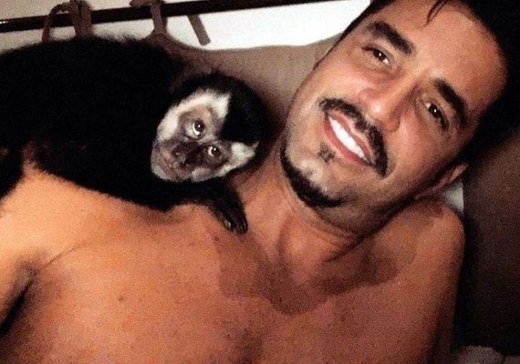 Morre após ser atropelado Twelves, macaco de Latino