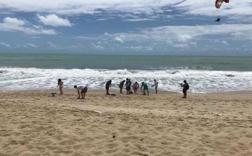 Mutirão convocado por redes sociais realiza limpeza de rios e praias em Maragogi