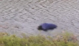 Homem é encontrado morto em barragem na zona rural de Palmeira dos Índios