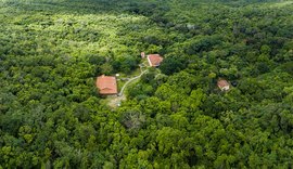 Caatinga se destaca como aliada no combate às mudanças climáticas