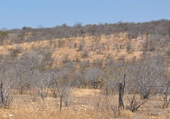 Ufal utiliza metodologia inédita para monitorar processo de desertificação no Brasil