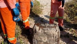 Prefeitura recolhe mais pacotes encontrados em praias de Maceió