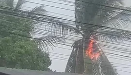 Incêndio em coqueiro chama atenção durante forte chuva em Arapiraca