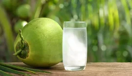 Água de coco emagrece? Veja 4 mitos e verdade sobre o consumo da bebida
