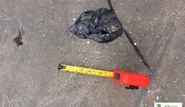 ICMBio divulga que novas manchas de óleo apareceram no município de Japaratinga