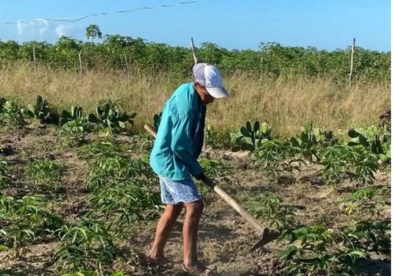 Associação Terra Forte se destaca na produção agrícola entre os municípios de São Sebastião e Junqueiro