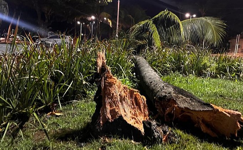 Quedas de árvores provocaram falta de energia em bairros de Maceió, diz Equatorial