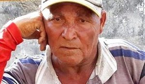 Homem morre após ataque de abelhas no interior de Alagoas