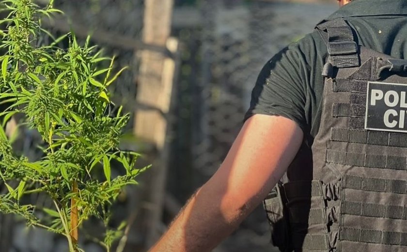 Polícia Civil deflagra operação e prende quatro suspeitos ligados ao tráfico em Penedo