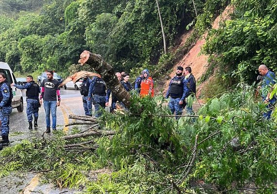 Prefeitura de Atalaia mobiliza esforços para ajudar famílias vítimas das chuvas