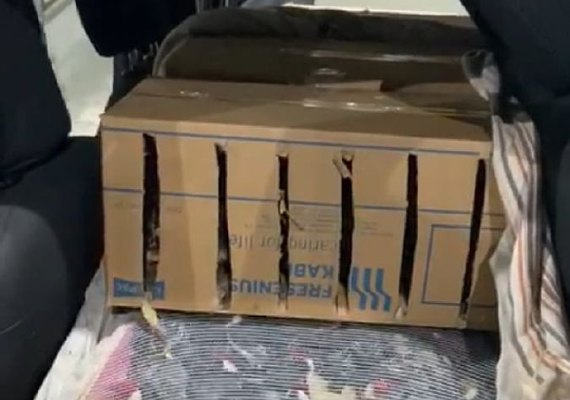 PRF prende dois homens e resgata centenas de aves silvestres