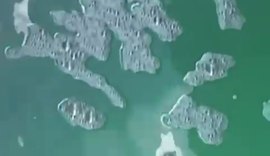 Leonam denuncia despejo irregular de substância Petcoke no mar de Maceió