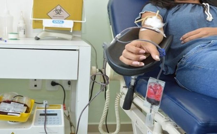 Hemoal precisa de doadores de sangue para manter estoque no mês de janeiro