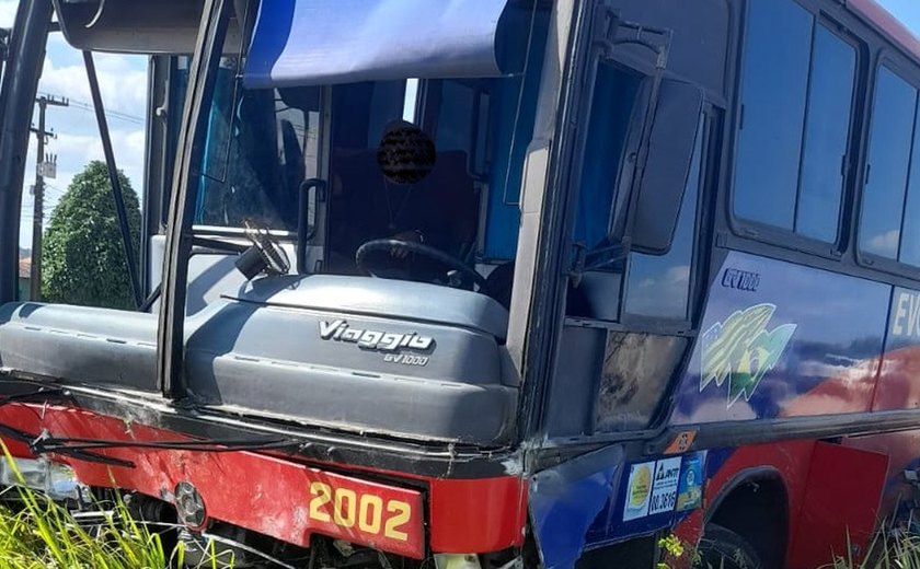 Animal de carga morre após ônibus passar por cima de carroça na BR-101