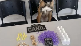 Criança de 8 anos é usada como “aviãozinho” e padrasto acaba preso em Arapiraca