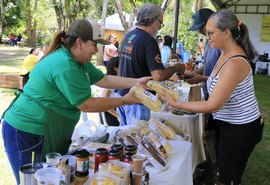 Vídeo: 1ª Feira da Apicultura reúne produtores e pesquisadores em Fernão Velho