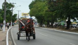 Jovem é vítima de atentado e desafeto foge em carroça