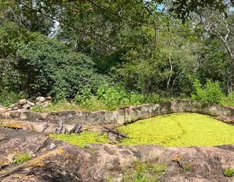 IMA orienta sobre cuidados necessários ao fazer uma trilha ecológica