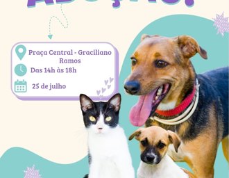Focinho Responsável leva feira de adoção ao Conjunto Graciliano Ramos