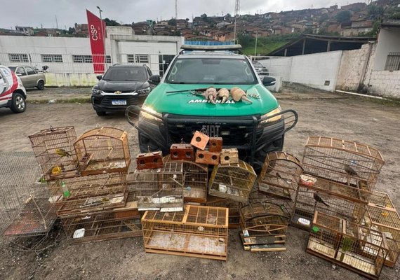Operação Onda Verde recolhe arma de fogo e mais de 30 animais silvestres na Zona da Mata