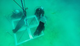 Projeto Corais de Alagoas promove estratégias para a conservação dos recifes de coral