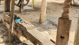 Arapiraca: centenária prensa de mandioca mantém viva a história