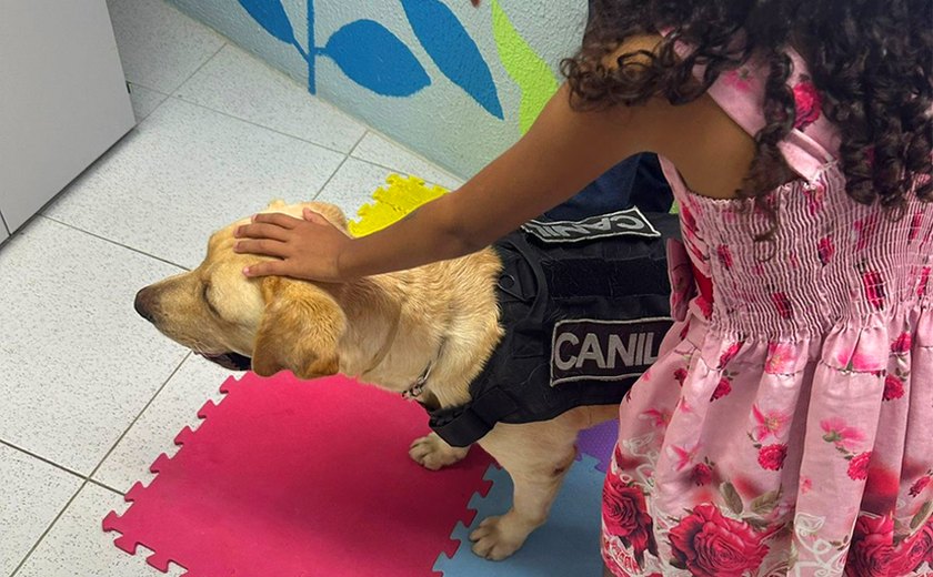 Cão de apoio emocional ajuda crianças vítimas de violência na Justiça alagoana