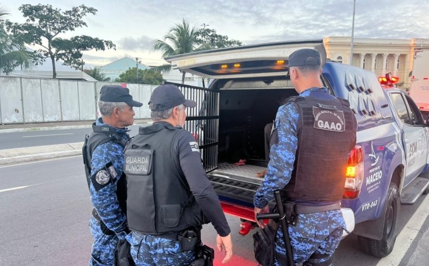 Guarda Municipal de Maceió registra oito prisões em uma semana