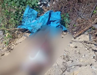 Corpo com marca de tiro na cabeça é encontrado em terreno baldio no Cidade Universitária