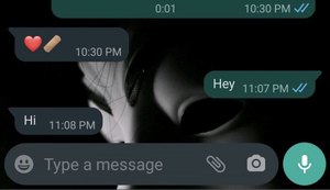 WhatsApp Beta retira status online e visto por último de contas comerciais